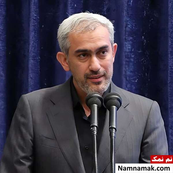 علی مدنی زاده