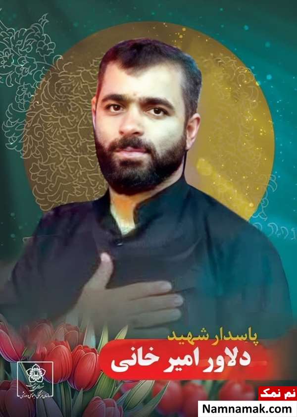 زندگینامه دلاور امیرخانی و همسرش دلاور امیرخانی