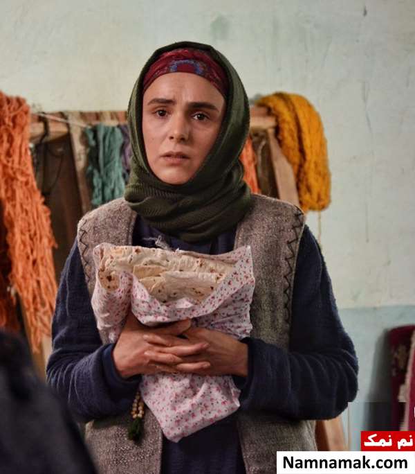 رویا حسینی بازیگر نقش میجان در سریال کلبه ای در مه کیست؟ رویا حسینی بازیگر نقش می جان در سریال کلبه ای در مه کیست؟