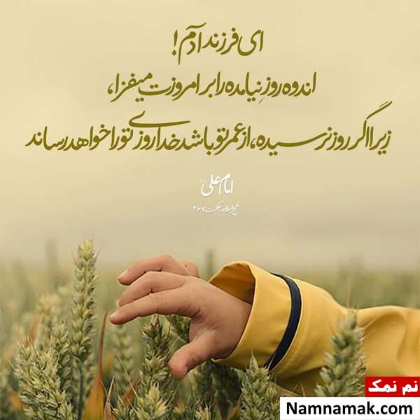 توصیه امام علی برای افزایش رزق و روزی