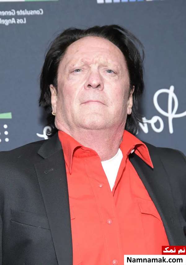 زندگینامه مایکل مدسن بازیگر و همسرش مایکل مدسن - Michael Madsen