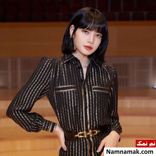 بیوگرافی کامل گروه بلک پینک با اسم و عکس