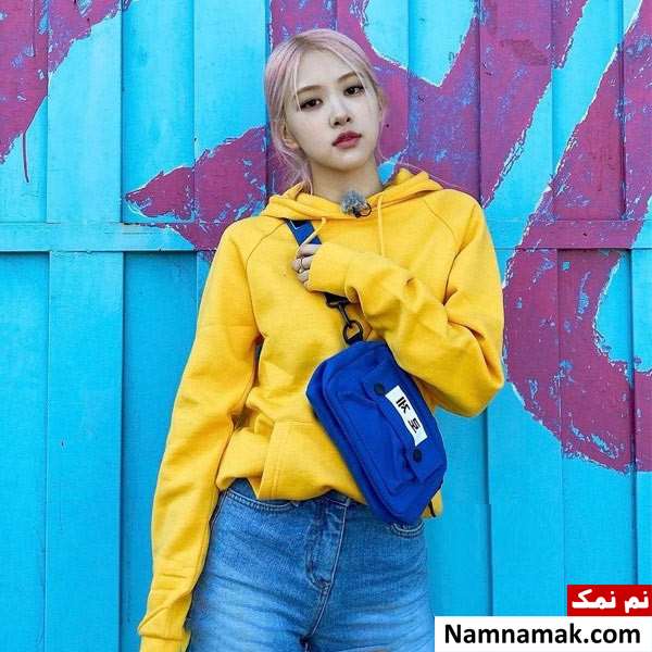 بیوگرافی کامل گروه بلک پینک با اسم و عکس