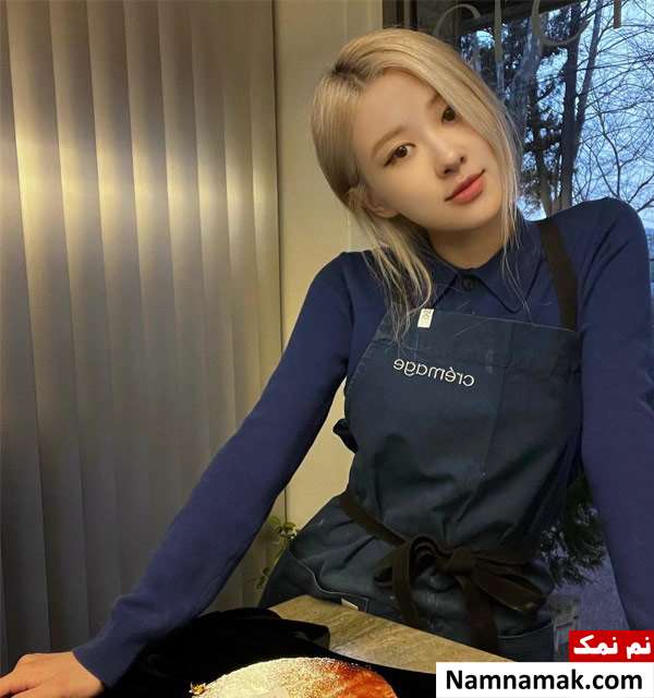 بیوگرافی کامل گروه بلک پینک با اسم و عکس