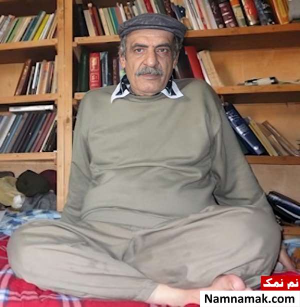 ایرج صغیری