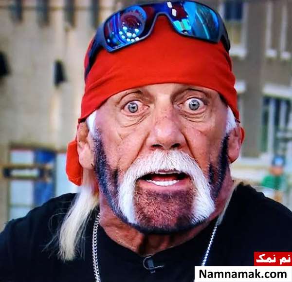 هالک هوگان