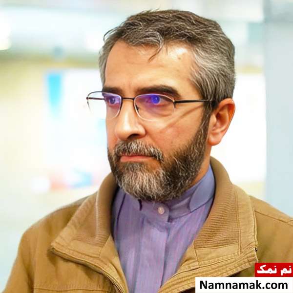 زندگینامه علی باقری کنی و همسرش علی باقری کنی
