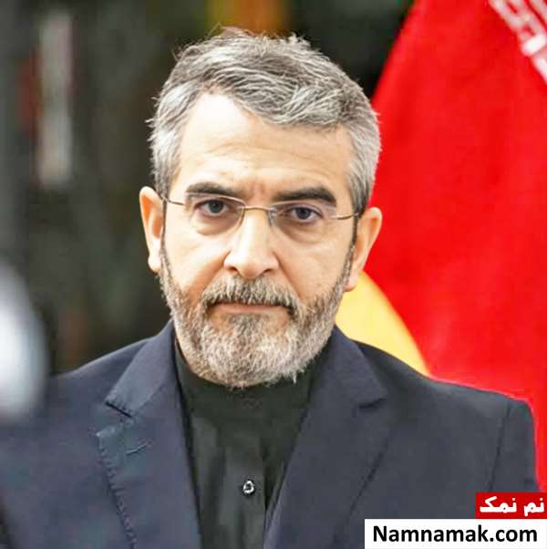 زندگینامه علی باقری کنی و همسرش علی باقری کنی