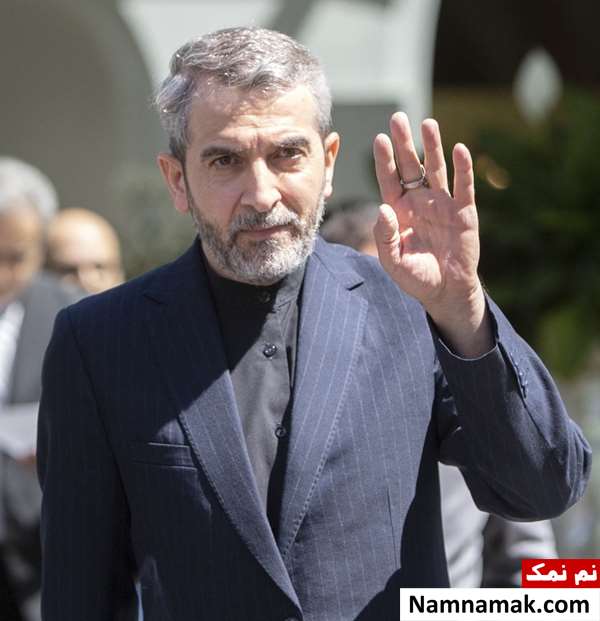زندگینامه علی باقری کنی و همسرش علی باقری کنی - Ali Bagheri Kani