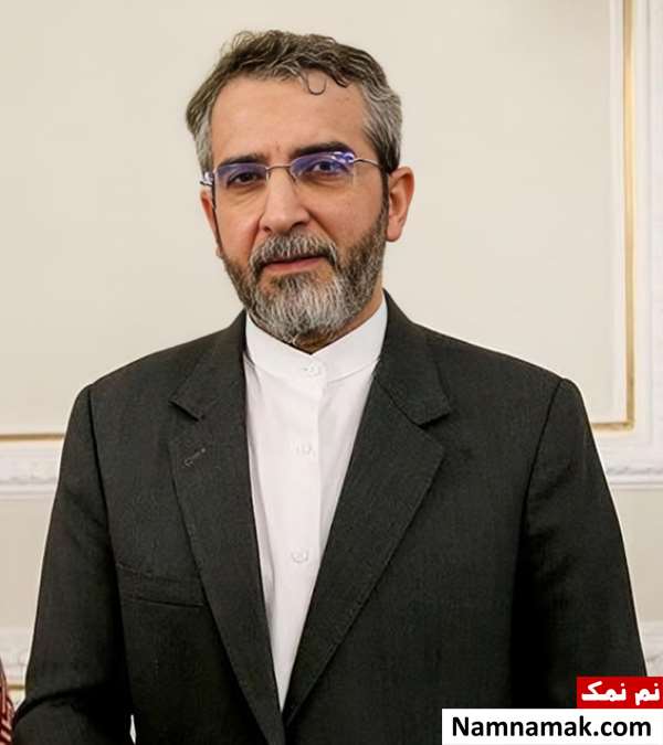 زندگینامه علی باقری کنی و همسرش علی باقری کنی