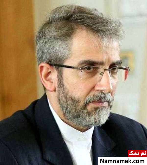 زندگینامه علی باقری کنی و همسرش علی باقری کنی