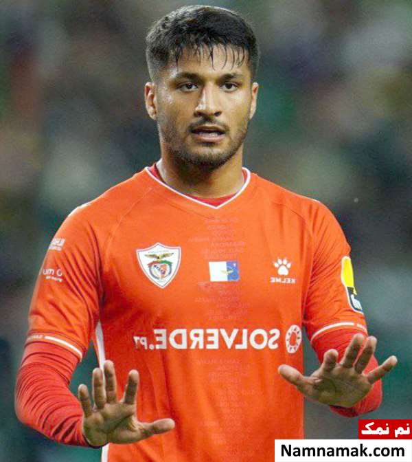 محمد محبی