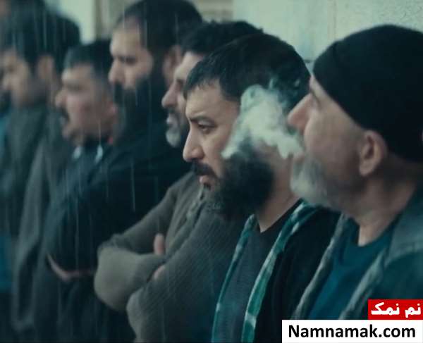 سریال وحشی 2