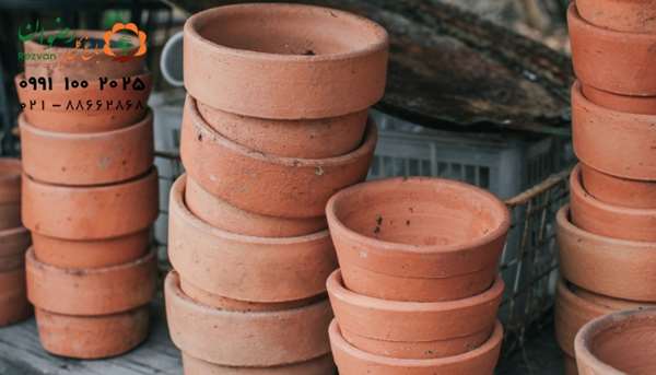 بهترین گلدان برای گل های آپارتمانی