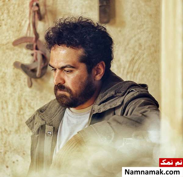 میرسعید مولویان در فیلم ناتوردشت