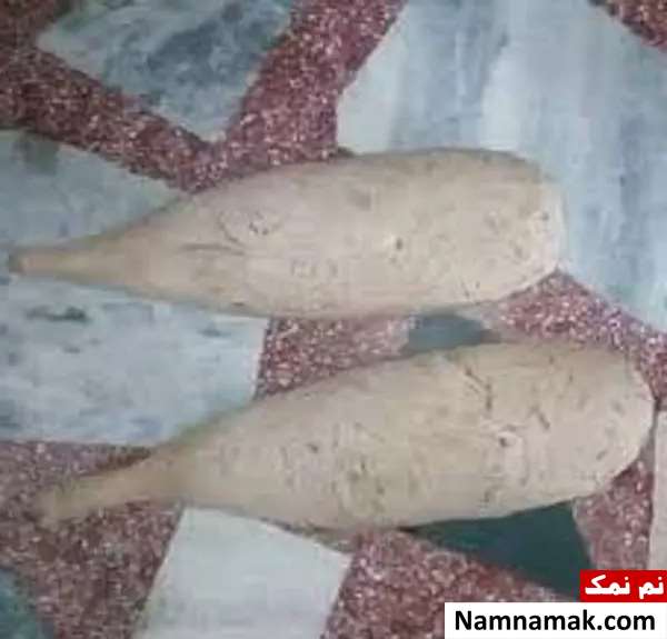 لانه خفاش