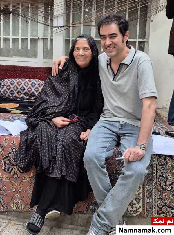 خلاصه داستان و بیوگرافی بازیگران سریال دومان کبری گودرزی و شهاب حسینی در سریال دومان