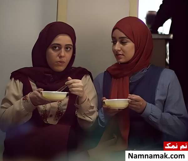 خلاصه داستان و معرفی بازیگران سریال نیکان سریال نیکان