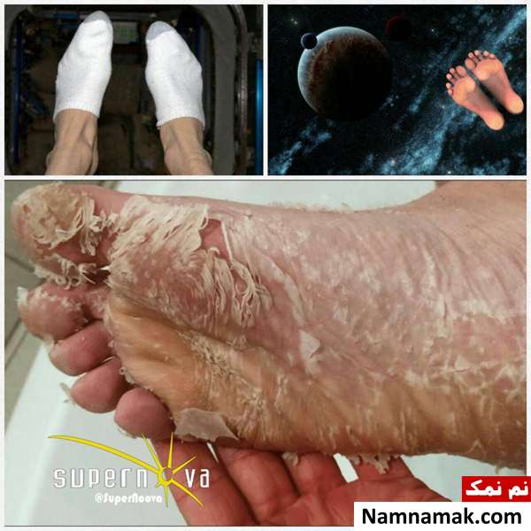 مطالب جذاب و خواندنی از جهان هستی