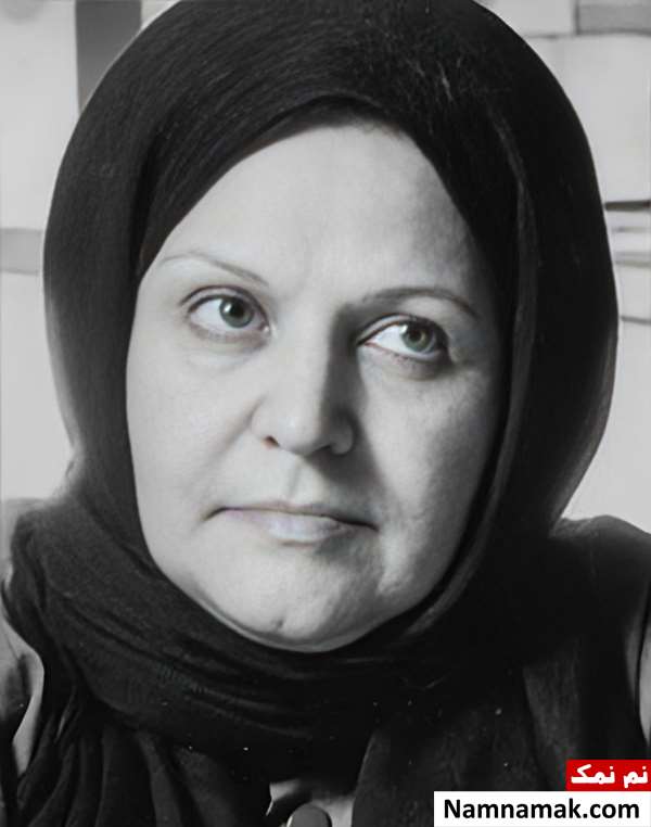زندگینامه طاهره صفارزاده(Tahereh Saffarzadeh) طاهره صفارزاده