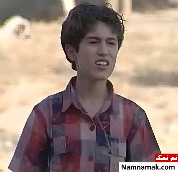 خلاصه داستان و بیوگرافی بازیگران فیلم تلویزیونی زنبورک فیلم زنبورک