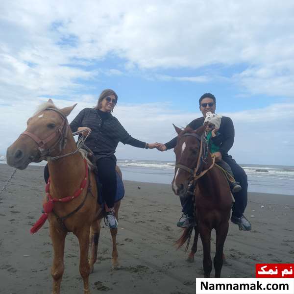 مهدی تیموری