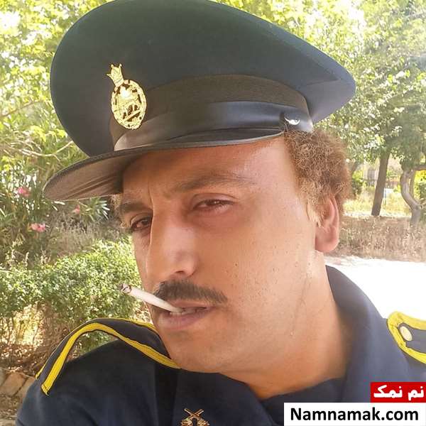 مهدی تیموری