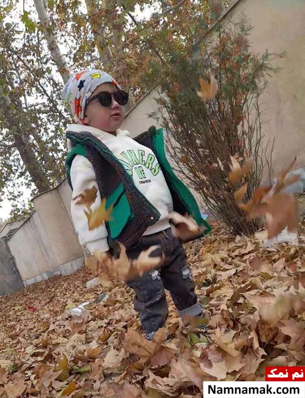 مهدی تیموری