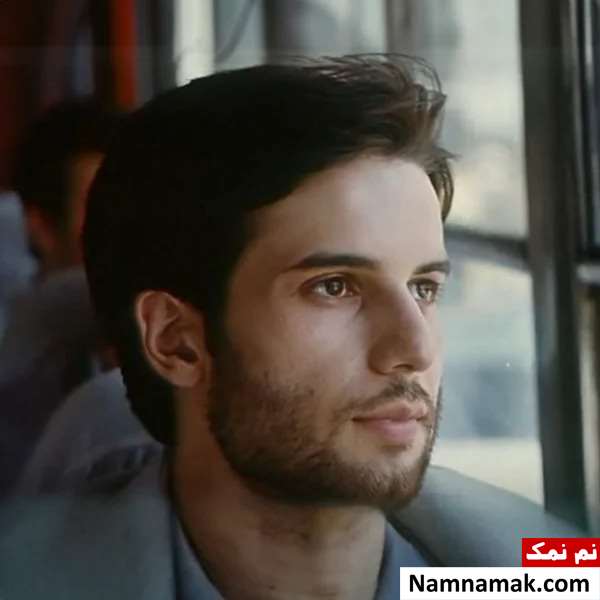 علیرضا انوش فر