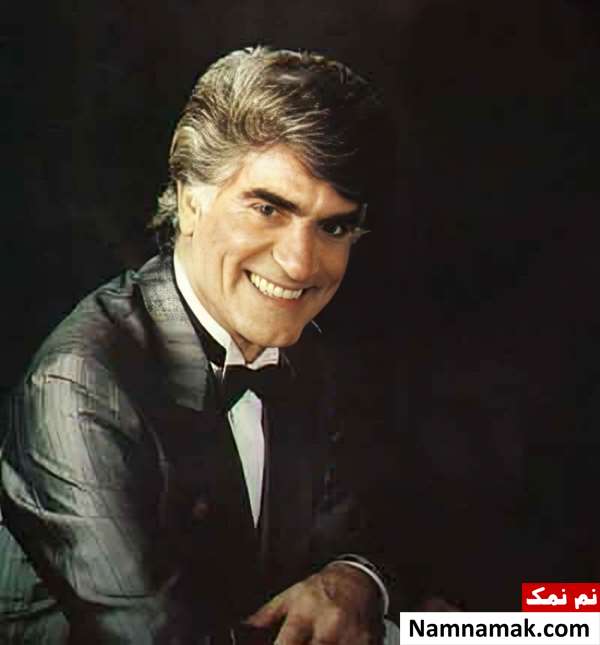 ویگن
