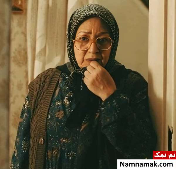 خلاصه داستان و بیوگرافی بازیگران سریال عملیات مهندسی مریم سعادت در سریال عملیات مهندسی