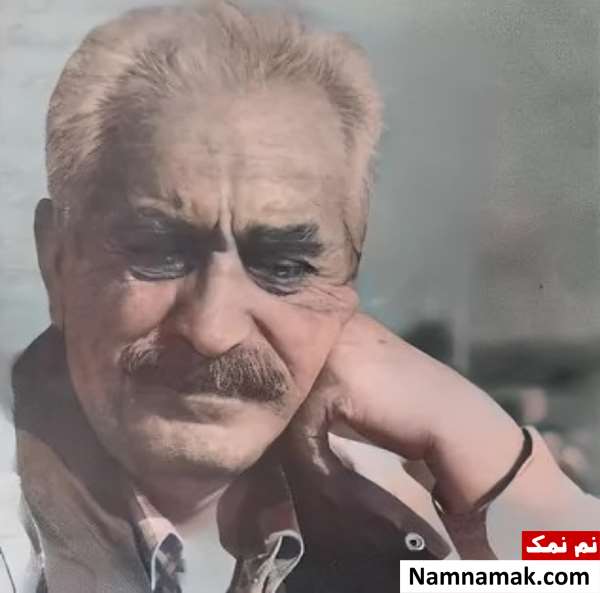 محمود پاینده لنگرودی