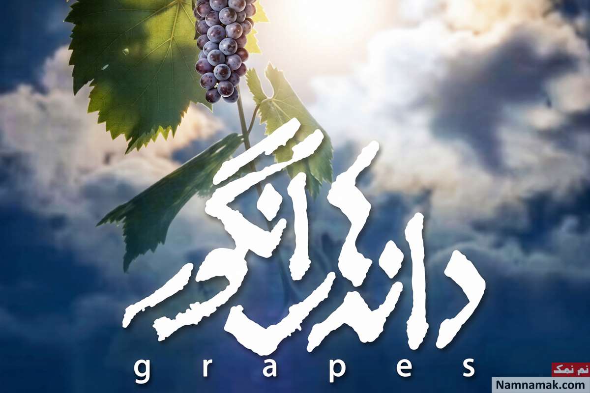 فیلم دانه های انگور