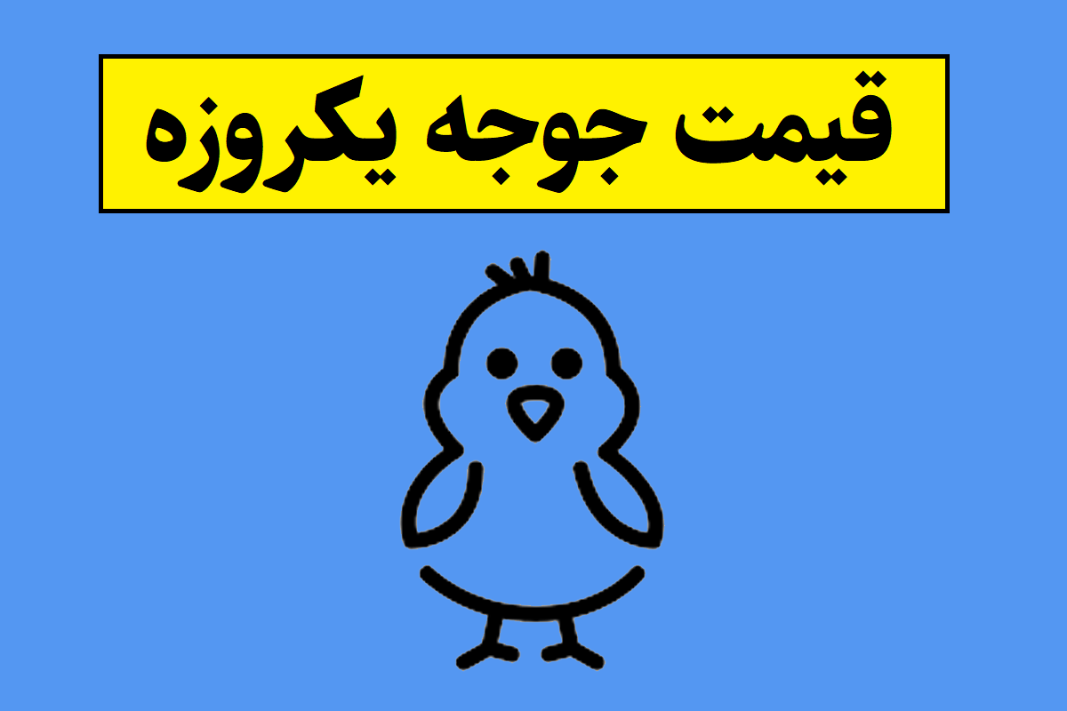 قیمت جوجه یکروزه در سال 1405 چند است؟