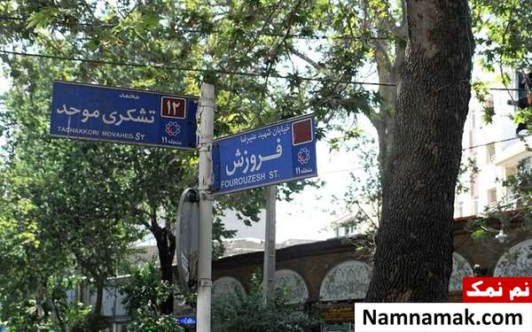 بیوگرافی مهدی موش و همسر و فرزندانش