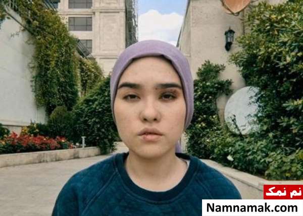 مستند روباه زیر ماه صورتی