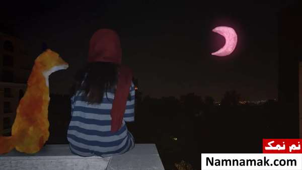 مستند روباه زیر ماه صورتی