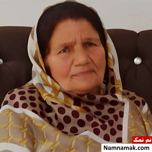 سکینه شفافی (مادر ارسطو)