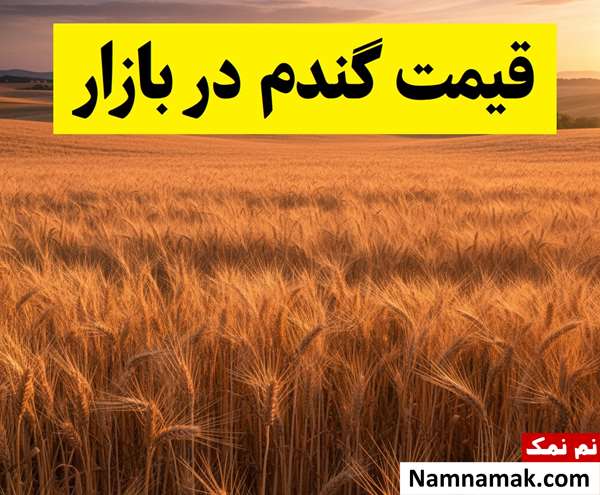 قیمت گندم در بازار 1405 کیلویی چند؟