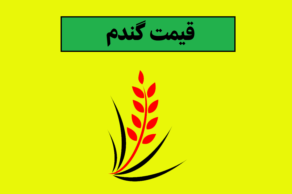 بازار گندم