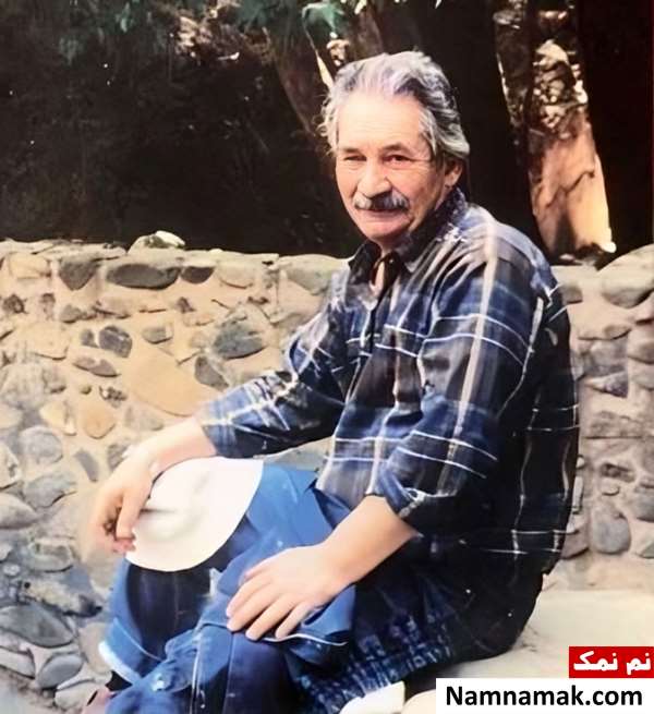 احمد محمود