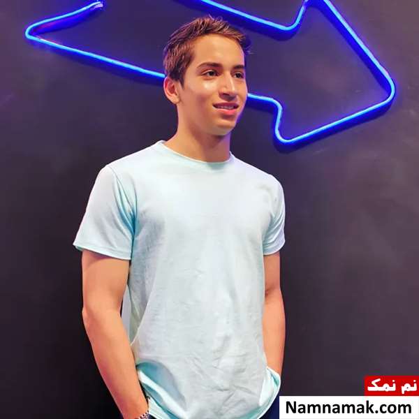 بیوگرافی بازیگران سریال به رنگ خاک بیوگرافی عرفان برزین