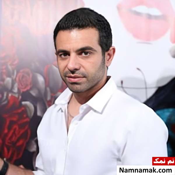 بیوگرافی بازیگران سریال مو به مو منصور شهبازی