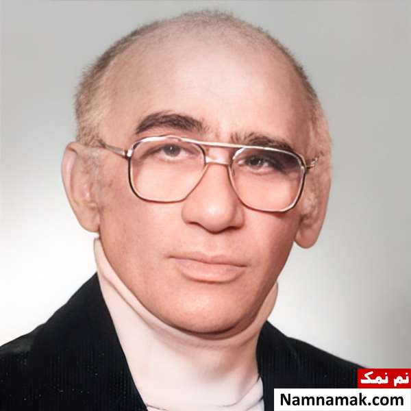 صادق ماهرو