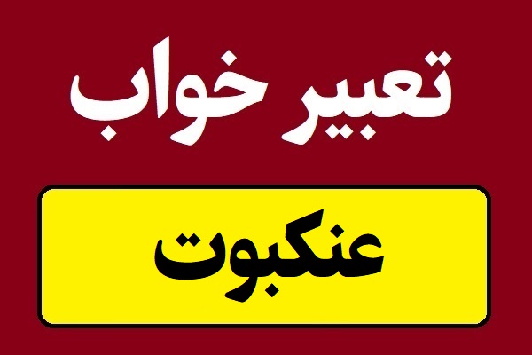 تعبیر خواب دیدن عنکبوت و رتیل