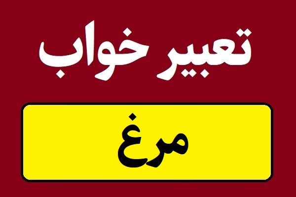 تعبیر خواب مرغ؛ مرده و زنده