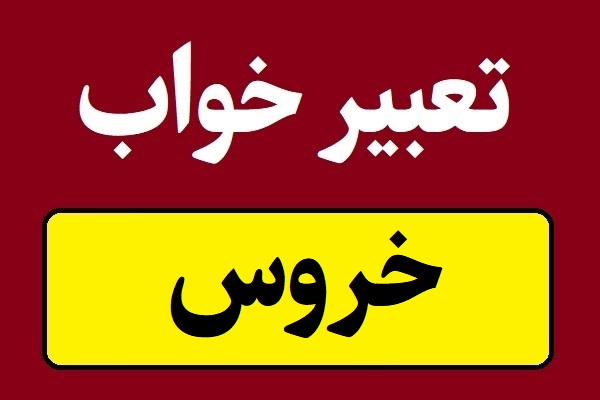 تعبیر خواب خروس با هر نژاد و هر رنگی