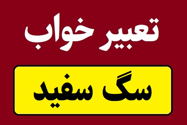 تعبیر خواب سگ سفید؛ مرده و زنده
