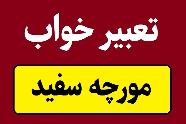 تعبیر خواب مورچه سفید؛ کشتن و دیدن در خانه