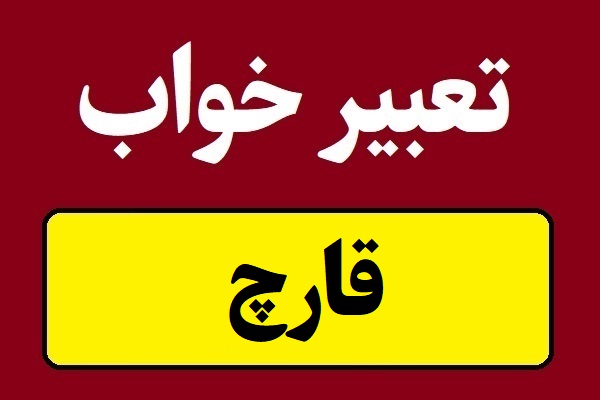 تعبیر خواب قارچ؛ خوردن و کاشتن قارچ